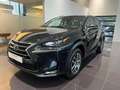 Lexus NX 300h Executive Line Schwarz - thumbnail 10