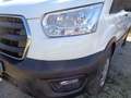 Ford Transit 350 2.0TDCi EcoBlue 170CV L4H3 Furg. Jumb Beige - thumbnail 10