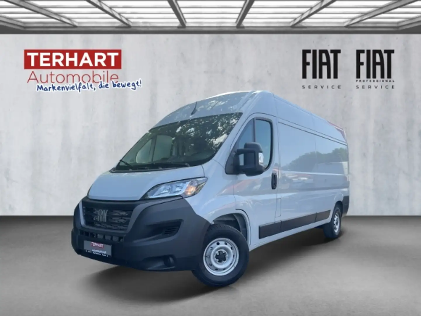 Fiat Ducato 35 Kasten L4H2/4 Jahre GA/Paket-Entry/Allwe Grau - 1