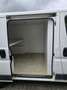 Fiat Ducato Kasten L1H1  Catering Lieferwagen Blanc - thumbnail 12