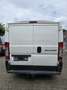 Fiat Ducato Kasten L1H1  Catering Lieferwagen Blanc - thumbnail 4