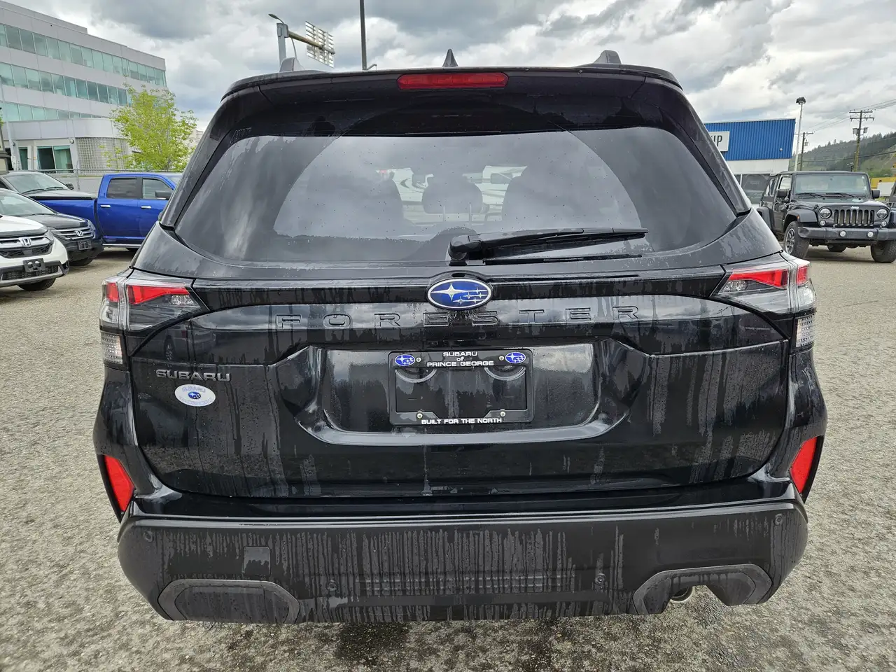 Subaru Forester fotografie Subaru Forester