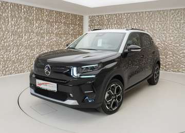 Elektro 113PS MAX incl. Winterpaket