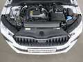 Skoda Scala 1.0 TSI DSG Selection Weiß - thumbnail 24