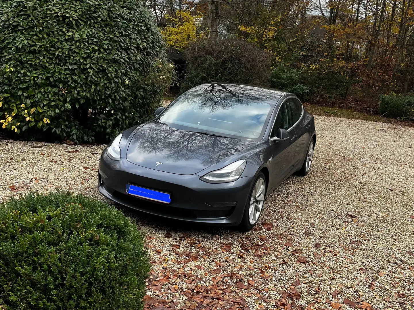 Tesla Model 3 Model 3 75 kWh Long-Range Dual Motor Grijs - 1