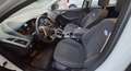 Ford Focus Focus 1.6 EcoBoost Start-Stopp-System SYNC Weiß - thumbnail 8