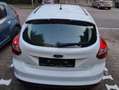Ford Focus Focus 1.6 EcoBoost Start-Stopp-System SYNC Weiß - thumbnail 2