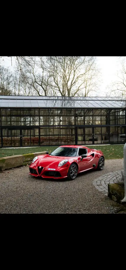 Alfa Romeo 4C 1.8 TBi Launch Edition 1/500-Zender Carbon-TÜV Neu - 2