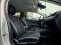 Ford Focus FORD FOCUS SW 1.5 ECOBLUE 120CV - MANUALE, CAR PLA Argento - thumbnail 11
