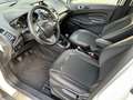 Ford EcoSport 1.0 Ecoboost Titanium Wit, NAP, dealer onderhouden Blanc - thumbnail 12