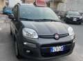 Fiat Panda 1.2 70 cv LOUNGE  ANCHE GPL SU RICHIESTA Grau - thumbnail 3