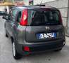 Fiat Panda 1.2 70 cv LOUNGE  ANCHE GPL SU RICHIESTA Grigio - thumbnail 9