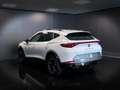 CUPRA Formentor 2.0 TDI 4Drive DSG Bianco - thumbnail 6