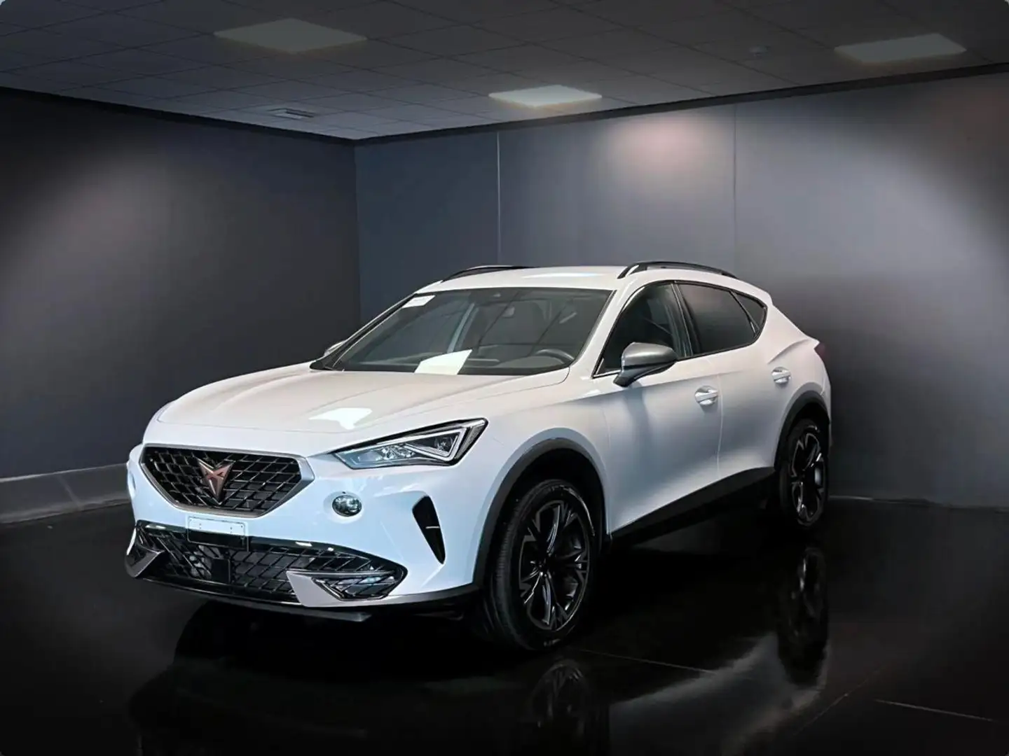 CUPRA Formentor 2.0 TDI 4Drive DSG Bianco - 1