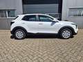 Kia Stonic 1.0 T-GDI MHEV 115PS Automatik NEUES MODELL Sit... Weiß - thumbnail 6