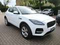 Jaguar E-Pace 2.0D I4 163 CV AWD Auto S - Pelle/Camera360 Bianco - thumbnail 3