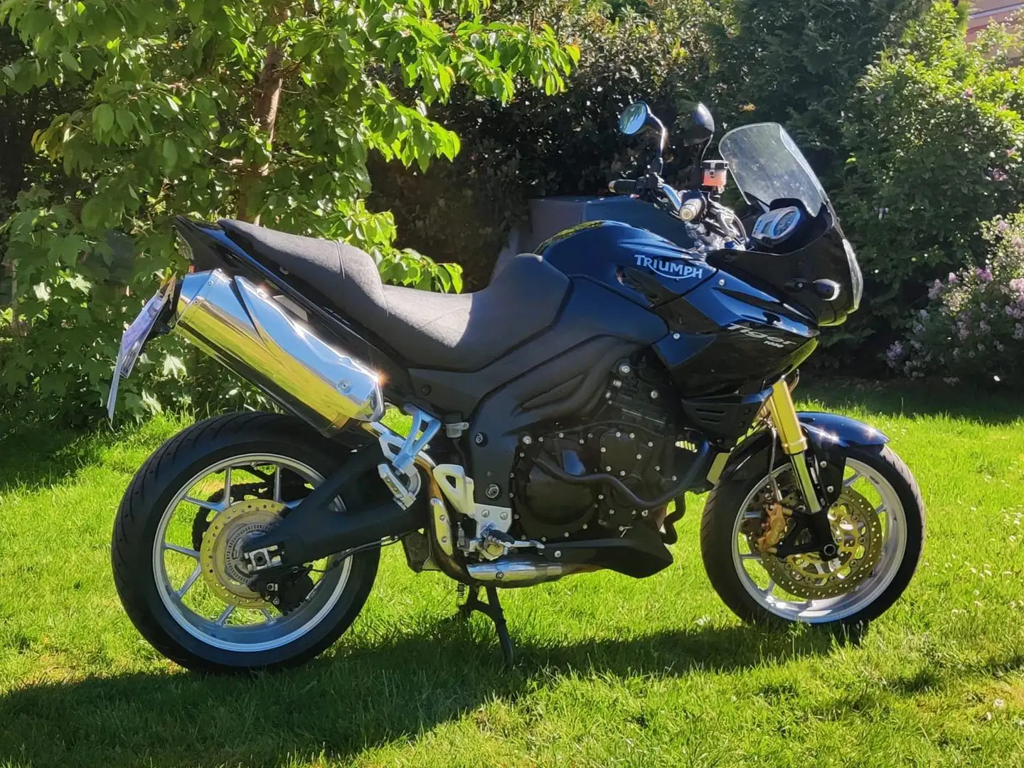 Triumph Tiger 1050 Černá - 1