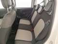 Fiat New Panda Cross 1.0 FireFly Hybrid Bianco - thumbnail 12