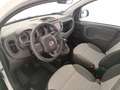 Fiat New Panda Cross 1.0 FireFly Hybrid Bianco - thumbnail 10
