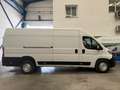 Fiat Ducato Furgón Maxi 35 L4H2 Multijet (103 kW) Blanco - thumbnail 4