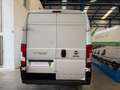 Fiat Ducato Furgón Maxi 35 L4H2 Multijet (103 kW) Blanco - thumbnail 6
