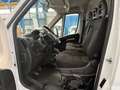 Fiat Ducato Furgón Maxi 35 L4H2 Multijet (103 kW) Blanco - thumbnail 9