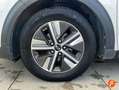 Kia Niro 1.6 HEV Drive Blanco - thumbnail 8