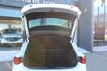 CUPRA Leon 1.5 eTSI 110 DSG Blanco - thumbnail 8