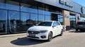 Fiat Tipo 1,6 MultiJet II 120 Lounge Weiß - thumbnail 1