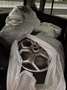 Ford B-Max 1,0EcoBoost *Pickerl 02.2026 0.6.6.0.2.7.5.1.9.9.6 - thumbnail 10