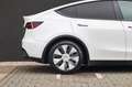 Tesla Model Y RWD-Panodak- Blanco - thumbnail 6