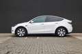 Tesla Model Y RWD-Panodak- Blanco - thumbnail 8