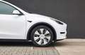 Tesla Model Y RWD-Panodak- Blanco - thumbnail 5