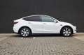 Tesla Model Y RWD-Panodak- Blanco - thumbnail 4