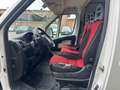 Fiat Ducato -Kasten 30 130 L2H2 Weiß - thumbnail 10