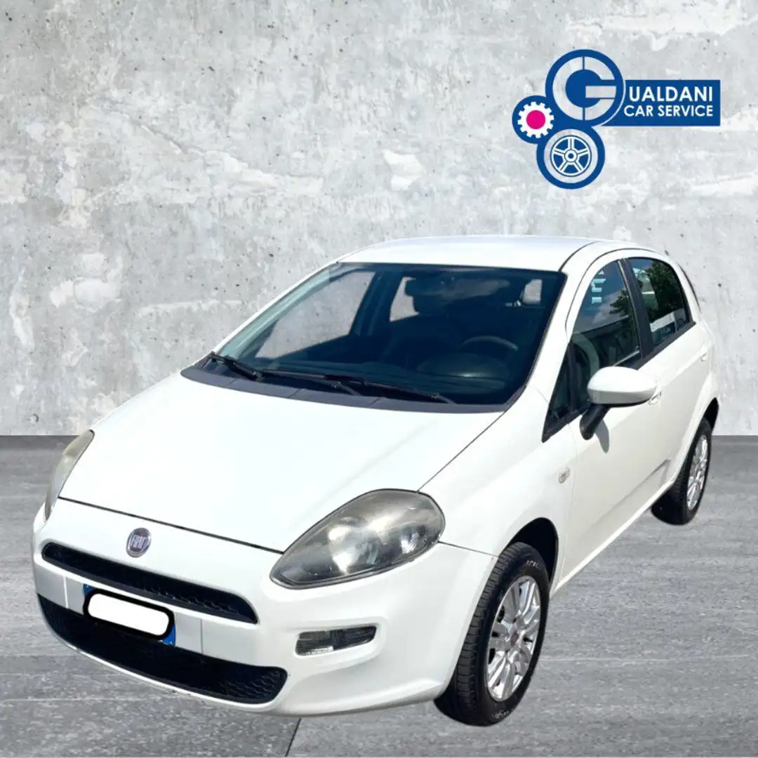 Fiat Punto Punto 1.4 8V 5 porte Natural Power Easy - 2