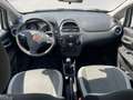 Fiat Punto Punto 1.4 8V 5 porte Natural Power Easy - thumbnail 5