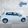 Fiat Punto Punto 1.4 8V 5 porte Natural Power Easy - thumbnail 8