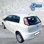 Fiat Punto Punto 1.4 8V 5 porte Natural Power Easy - thumbnail 9