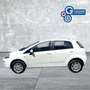 Fiat Punto Punto 1.4 8V 5 porte Natural Power Easy - thumbnail 1