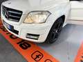 Mercedes-Benz GLK 220 CDI 4Matic Premium + GANCIO TRAINO MAI USATO! Bianco - thumbnail 16