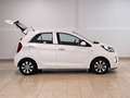 Kia Picanto 1.0 Concept Blanc - thumbnail 7