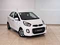 Kia Picanto 1.0 Concept Blanc - thumbnail 3