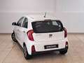 Kia Picanto 1.0 Concept Blanc - thumbnail 16