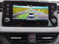 Skoda Scala Selection TSI Blau - thumbnail 14