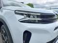 Citroen C5 Aircross 1.5 bluehdi Max S&S EAT8 km.0 PREZZO REALE!! Bianco - thumbnail 5