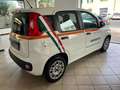 Fiat Panda 1.3 mjt 16v Easy s&s 95cv - thumbnail 4