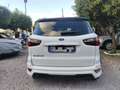 Ford EcoSport 1.5 TDCi 100 CV Start&Stop ST-Line Weiß - thumbnail 4