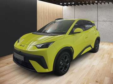 Dolphin Surf Comfort