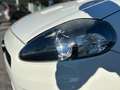 Abarth Grande Punto Grande Punto 1.4 t. t-jet 155cv (210 CV)*GARANZIA* Weiß - thumbnail 27